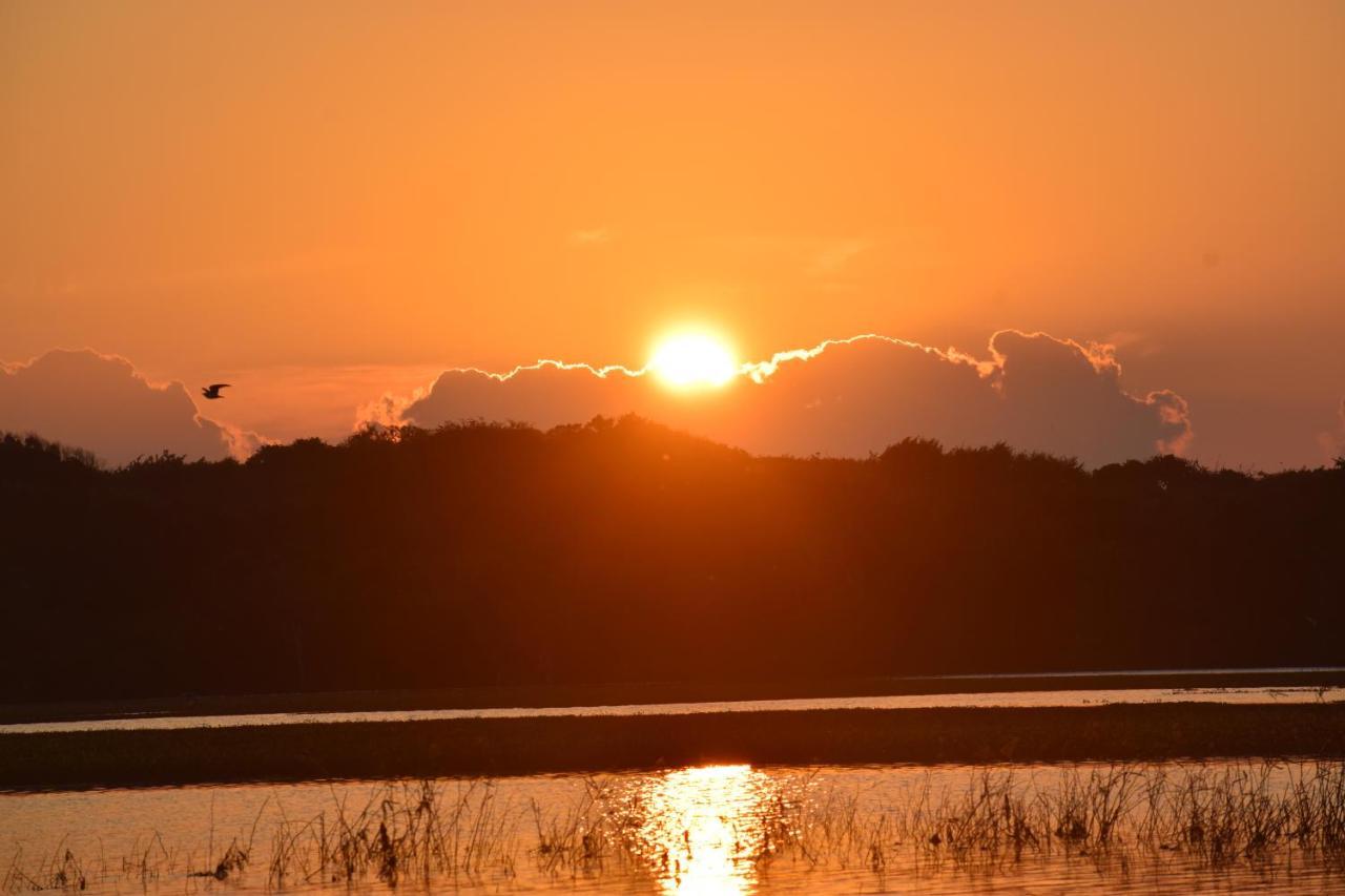 Lakeside Cabana טיסמהרמה מראה חיצוני תמונה