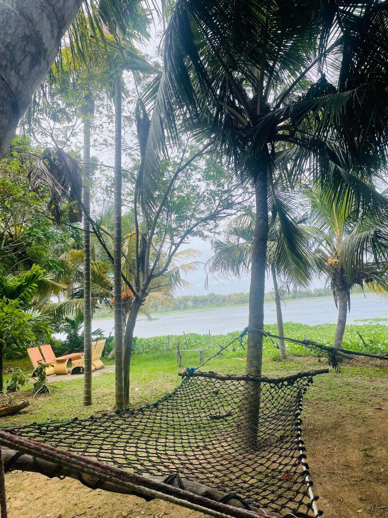 Lakeside Cabana טיסמהרמה מראה חיצוני תמונה