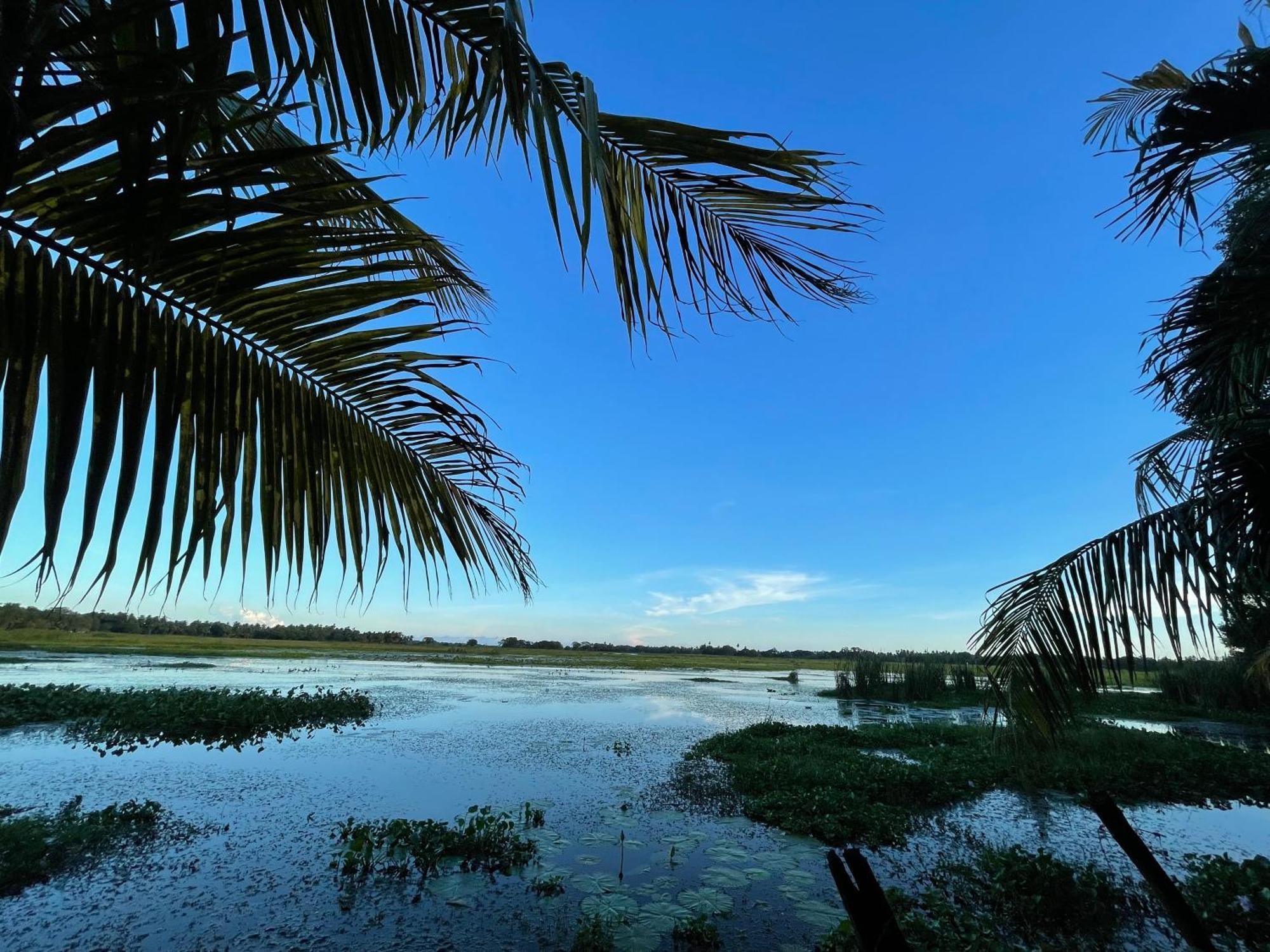 Lakeside Cabana טיסמהרמה מראה חיצוני תמונה