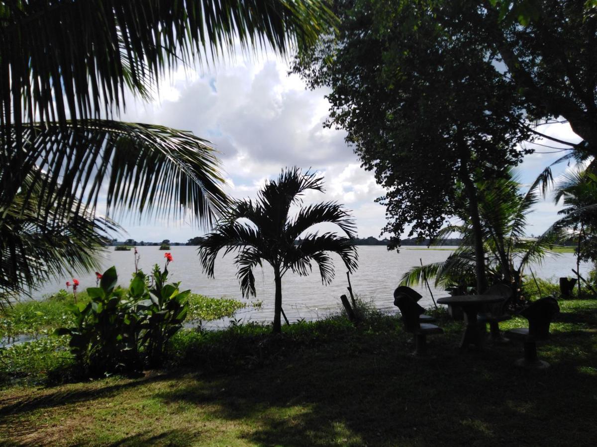 Lakeside Cabana טיסמהרמה מראה חיצוני תמונה
